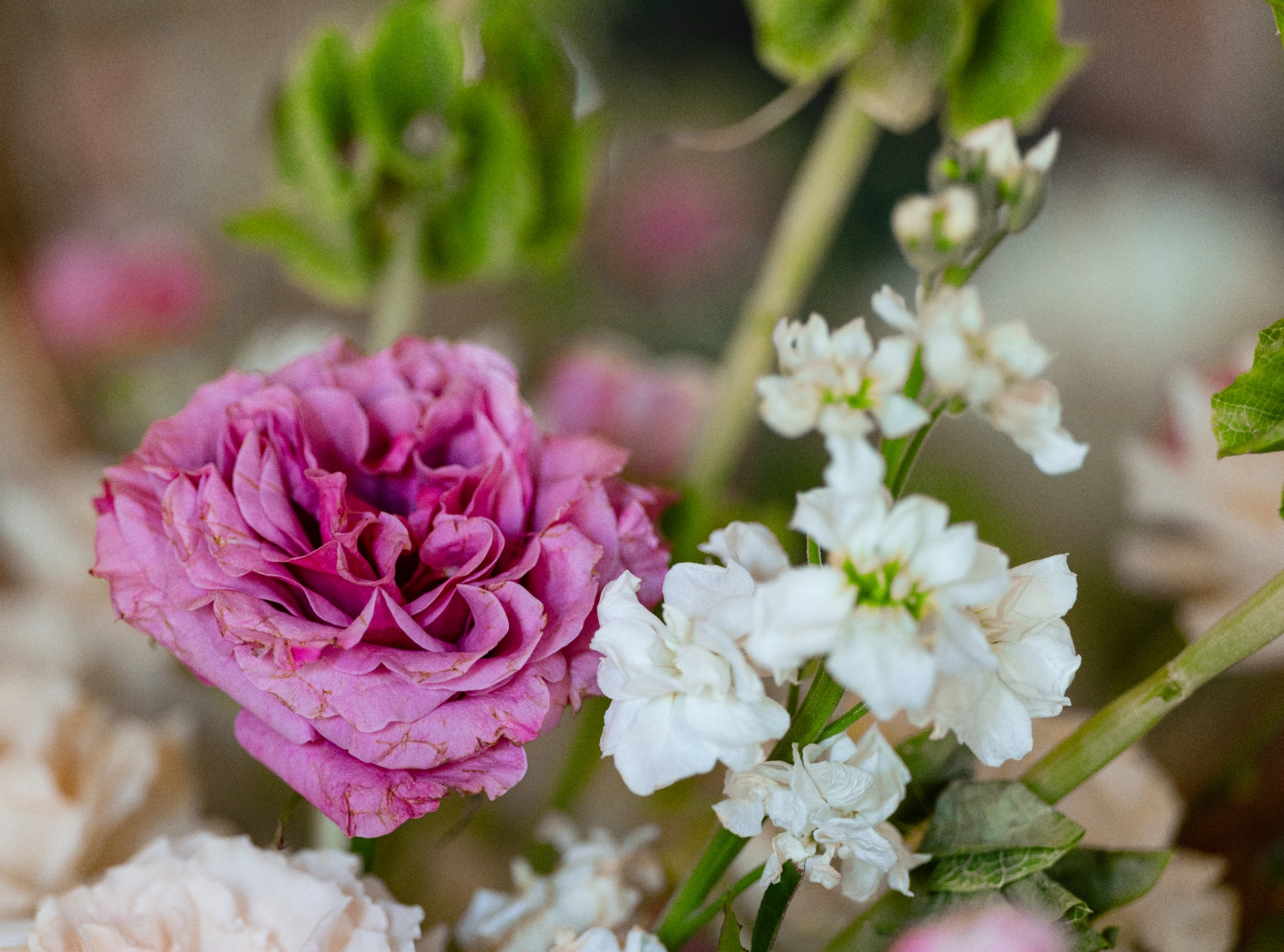 Pink rose and white floral arrangement at L & D Farms wedding