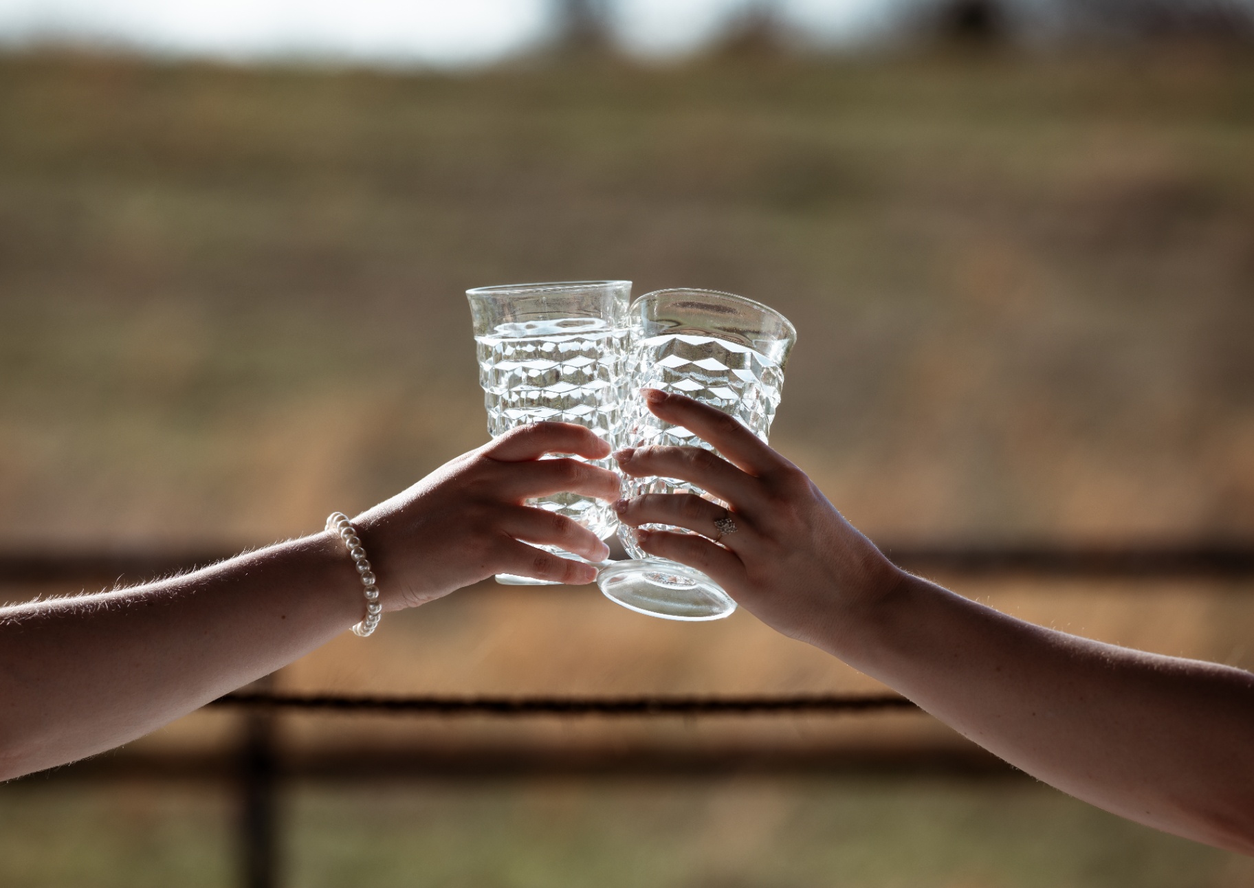Crystal glass toast at a L & D Farms wedding celebration