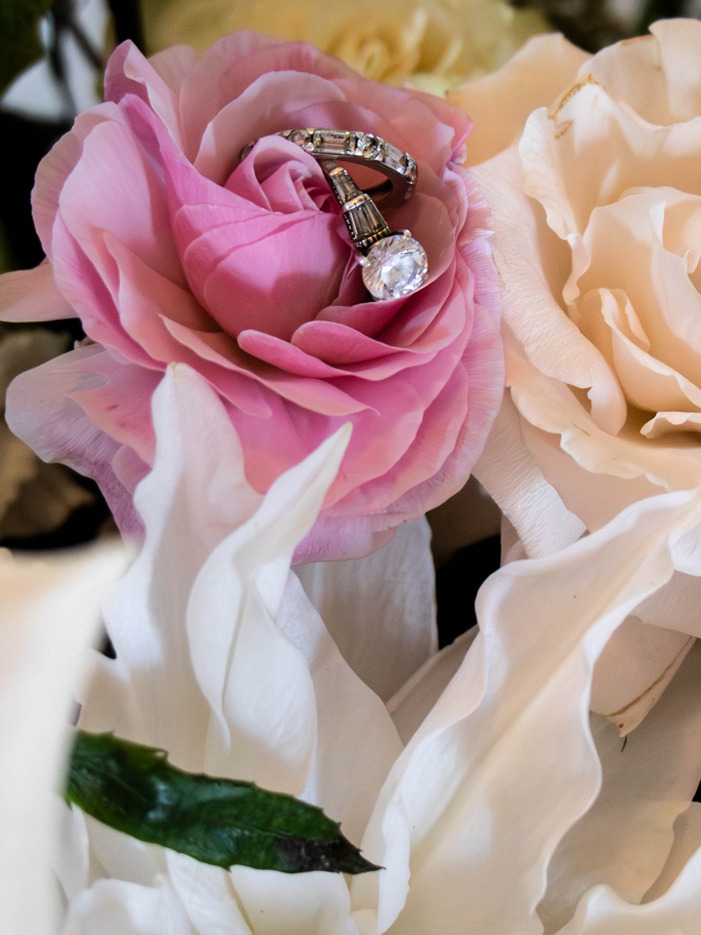 Wedding rings nestled inside a pink rose at L & D Farms