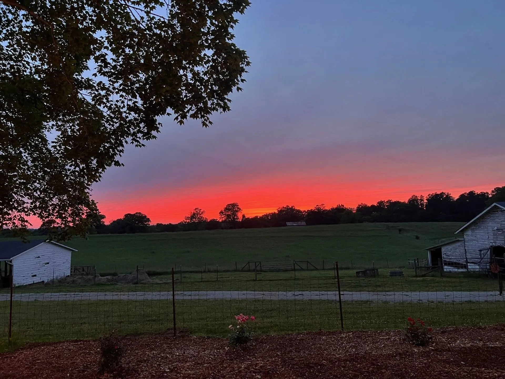 Sunset over the barn at L & D Farms in Ooltewah, TN